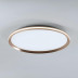 Потолочный cветильник LED4U L3020-500 GD