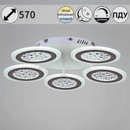 Светильник потолочный Reluce 20491-0.3-05 WT