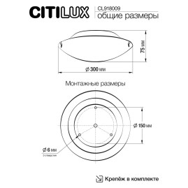 Настенный светильник Citilux Ива CL918009
