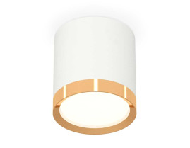 Комплект накладного светильника Ambrella light Techno Spot XS (C8141, N8124) XS8141004