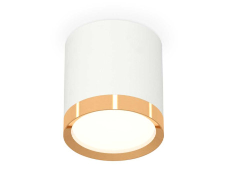 Комплект накладного светильника Ambrella light Techno Spot XS (C8141, N8124) XS8141004