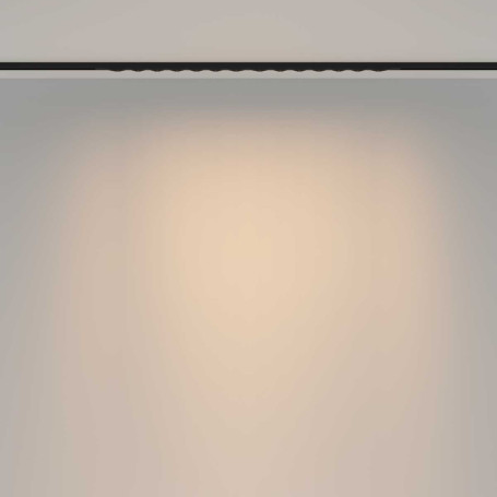 Трековый светильник Maytoni Technical TR175-1-24WTW-M-B