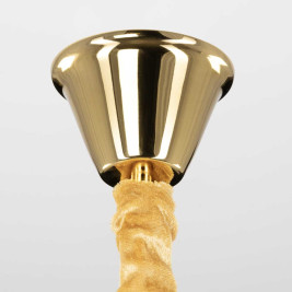 Подвесная люстра Citilux Ritz CL310062