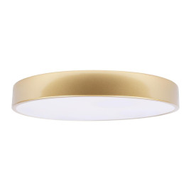 Потолочный светодиодный светильник Loft IT Flims 10228/A