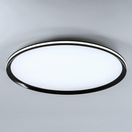 Потолочный cветильник LED4U L3020-600 BK