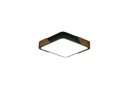 Потолочный светильник Zortes ALBERRO ZRS.01281.60