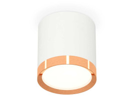Комплект накладного светильника Ambrella light Techno Spot XS (C8141, N8126) XS8141005