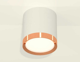 Комплект накладного светильника Ambrella light Techno Spot XS (C8141, N8126) XS8141005