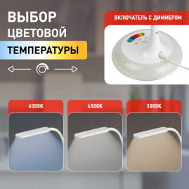 Настольная лампа ЭРА NLED-481-10W-W Б0048591