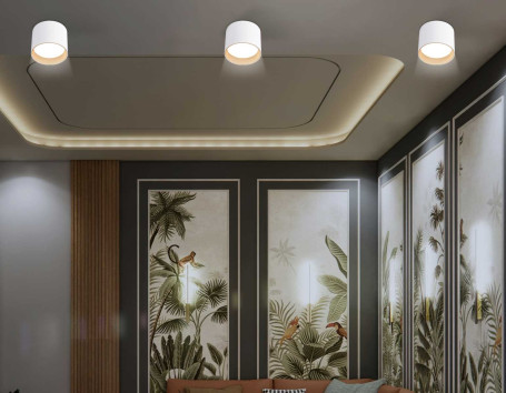 Светильник накладной Ambrella Light TN5304