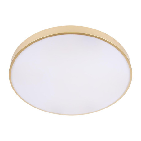 Потолочный светодиодный светильник Loft IT Flims 10228/B