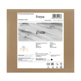 Потолочная люстра Freya Энтле / Entle FR5465CL-05W