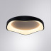 Потолочный светодиодный светильник Arte Lamp Ankaa A3085PL-56BK