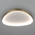 Потолочный светодиодный светильник Citilux Genka Smart CL756A162