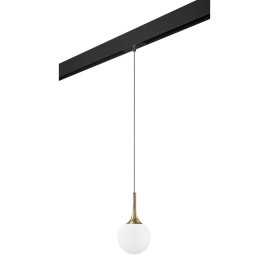 Комплект с трековым светильником Lightstar Globo (813012+595007) PRO813012