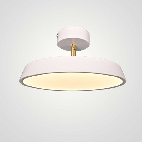Потолочный светильник Imperium Loft Birk D30 White 377315-23