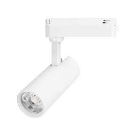 Светильник LGD-GERA-2TR-R55-10W Day4000 (WH, 24 deg, 230V) Arlight 055035