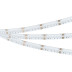Светодиодная лента Arlight 16W/m 840Led/m CSP разноцветный/холодный белый 5M CSP-X840-12mm 24V RGBW-MIX 048945