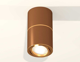 Комплект накладного светильника Ambrella light Techno Spot XS7404060 SCF/PYG кофе песок/золото желтое полированное (C7404, A2072, C7404, N7004)