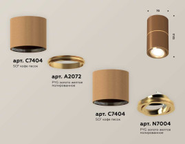 Комплект накладного светильника Ambrella light Techno Spot XS7404060 SCF/PYG кофе песок/золото желтое полированное (C7404, A2072, C7404, N7004)