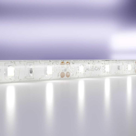 Светодиодная лента Standard Maytoni Led Strip 20006