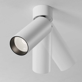 Потолочный светильник Maytoni Technical C055CL-L12W4K-SS-W