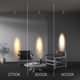 Потолочный светильник Maytoni Technical C055CL-L12W4K-SS-W