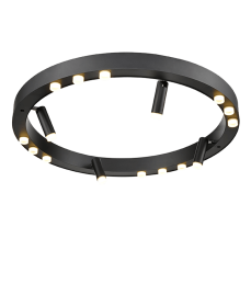 Потолочный светильник Vele Luce Satellite VL7172L12