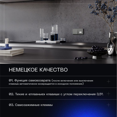 Выключатель с самовозвратом встраиваемый Voltum S70 одноклавишный 10А, (титан) VLS010606