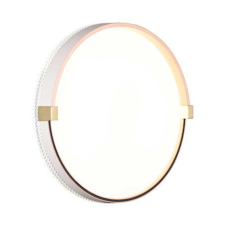 Настенно-потолочный светодиодный светильник Sonex Pale Olidi White 7646/CL