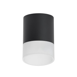 Комплект с потолочным светильником Lightstar Rullo (213487+202481) R348781