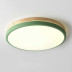 Потолочный светильник Imperium Loft Disc Dh D27 Green 189893-26