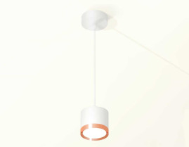 Комплект подвесного светильника Ambrella light Techno Spot XP (A2331, C8110, N8126) XP8110012