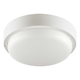 Накладной светодиодный светильник WOLTA LCL04-12W-R21-4K-SM