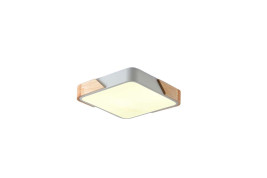 Потолочный светильник Zortes Alberro ZRS.01285.60