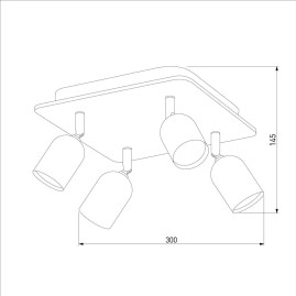 Спот TK Lighting 4418 Top