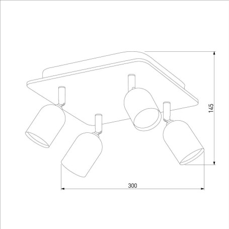Спот TK Lighting 4418 Top