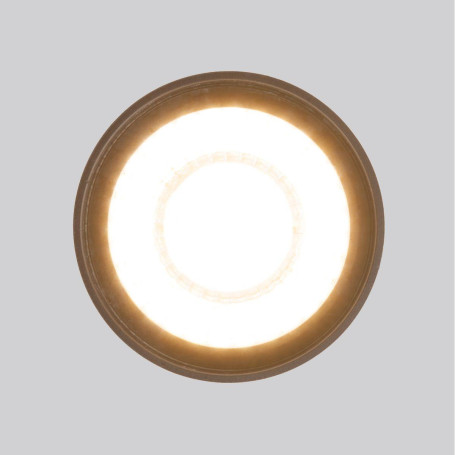 Уличный светодиодный светильник Elektrostandard Light Led 35132/H черный a056231