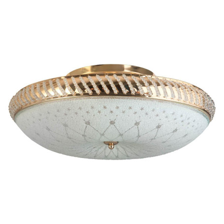 Накладной светильник Toplight Loreen TL1492Y-05GC