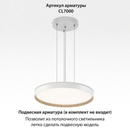 Потолочный светодиодный светильник Citilux Etalon CL750400R