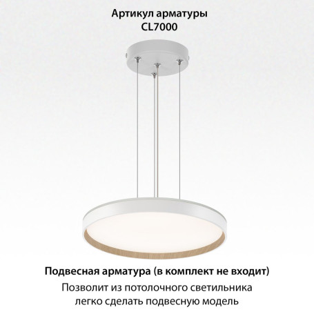 Потолочный светодиодный светильник Citilux Etalon CL750400R