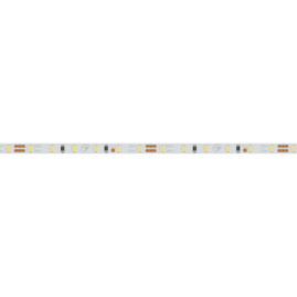 Светодиодная лента Arlight 9,6W/m 120LED/m 2216SMD дневной белый 5M 024412(2)