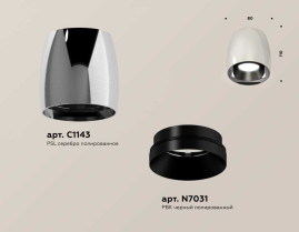 Комплект накладного светильника Ambrella light Techno Spot XS1143001 PSL/PBK серебро полированное/черный полированный (C1143, N7031)