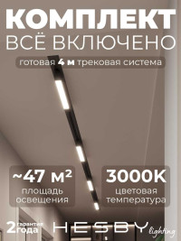 Встраиваемая однофазная трековая система Hesby Lighting Skylite №1 со светильниками HSBL_kompl_S001_VI4B3K