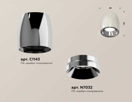 Комплект накладного светильника Ambrella light Techno Spot XS1143002 PSL серебро полированное (C1143, N7032)