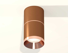 Комплект накладного светильника Ambrella light Techno Spot XS7404081 SCF/PPG кофе песок/золото розовое полированное (C7404, A2073, C7404, N7035)