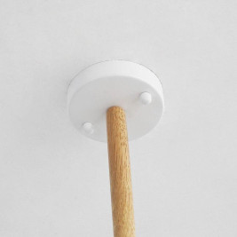 Подвесная люстра Imperium Loft Formula 207821-26