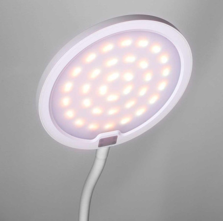 Настольная лампа Camelion KD-836 C01 13887