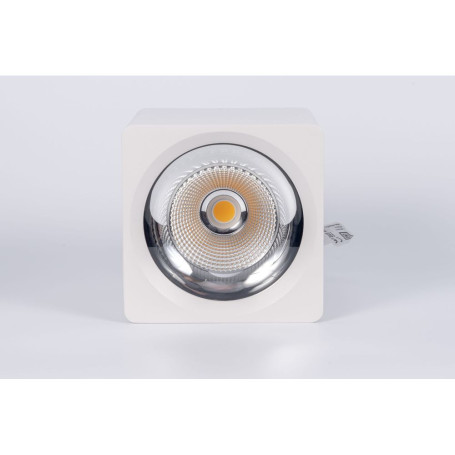 Потолочный светодиодный светильник Fiberli CH-SD230-1 12120102