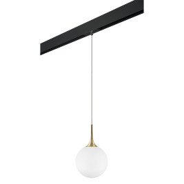 Комплект с трековым светильником Lightstar Globo (813032+595007) PRO813032